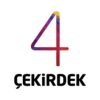 4cekirdekdetay